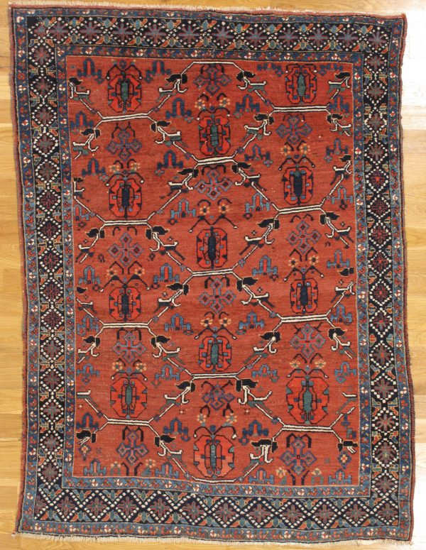 Afshar rug (78)